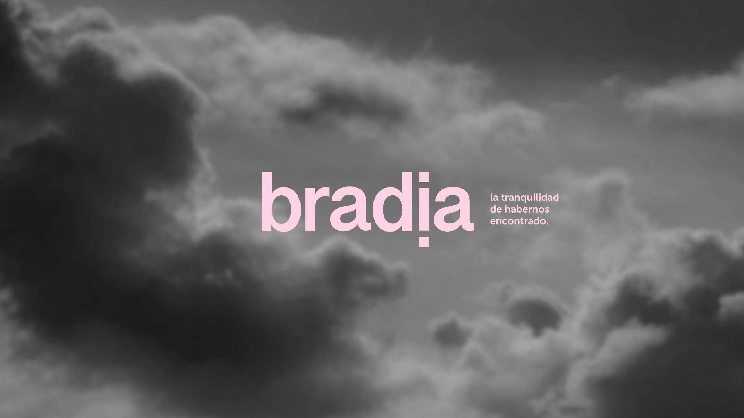 Caso de éxito Bradia | Hacce